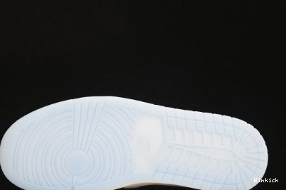 1 SE Jordan Concord Low DV1309-100 0723